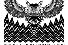 Owlluminati Design