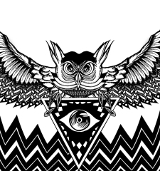 Owlluminati Sticker